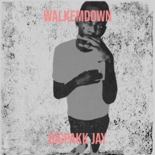 bigPakk jay