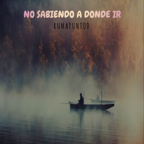No sabiendo a donde ir cover art