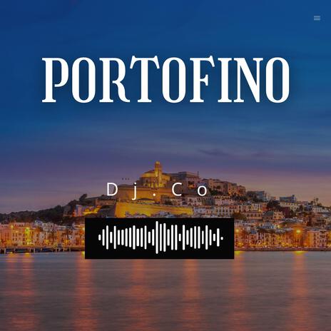 Dj Co (Portofino house disco 2025 remix) cover art