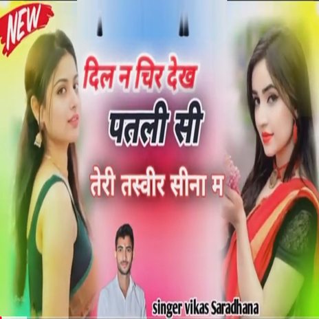 Dil N Chir Dekh Patli Si Teri Tasveer Seena M cover art