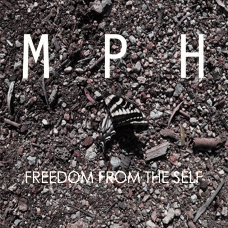In the Rearview cover art