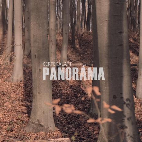 Panoráma cover art