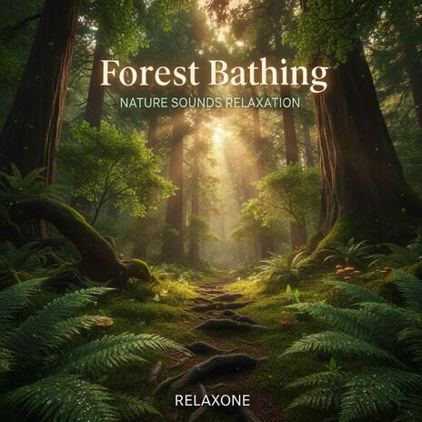 Woodland Clearing cover art