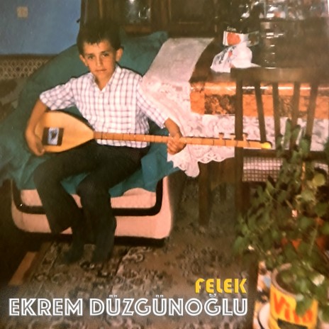 Felek cover art