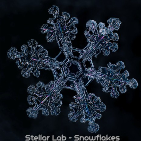 Snowflakes cover art