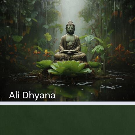 Reiki Treatment cover art