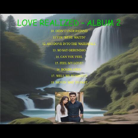 DIDN'T UNDERSTAND cover art