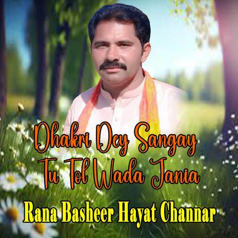 Dhakri Dey Sangay Tu Tol Wada Jania cover art