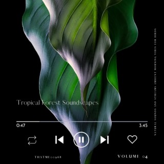 Tropical Forest Soundscapes - Natural Sounds and Streams Ambient Morning Vibes for Birds, Vol. 04