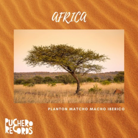 Rude Boy (Original Mix) ft. Matcho & Macho Iberico cover art