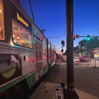 The Way Home