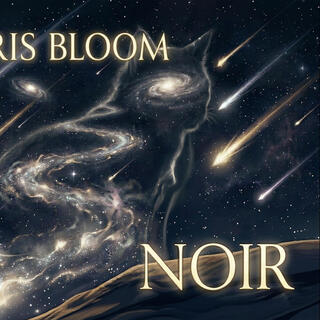 Noir cover art