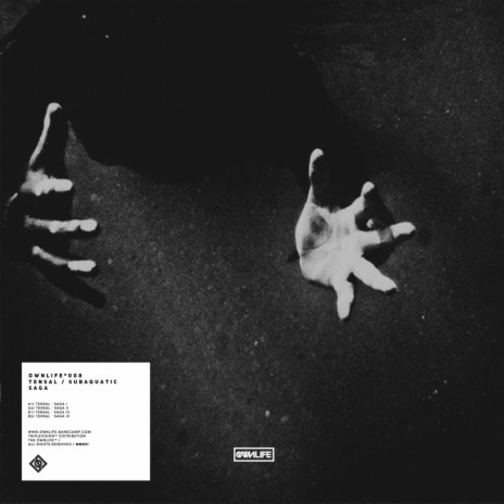 Saga II cover art