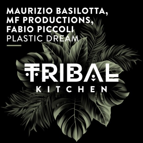 Plastic Dream (Extended Mix) ft. MF Productions & Fabio Piccoli cover art