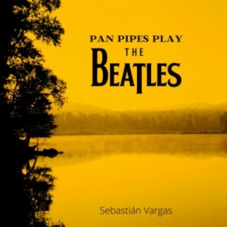 Pan Pipes play The Beatles