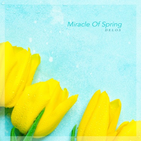 Miracle Of Spring cover art