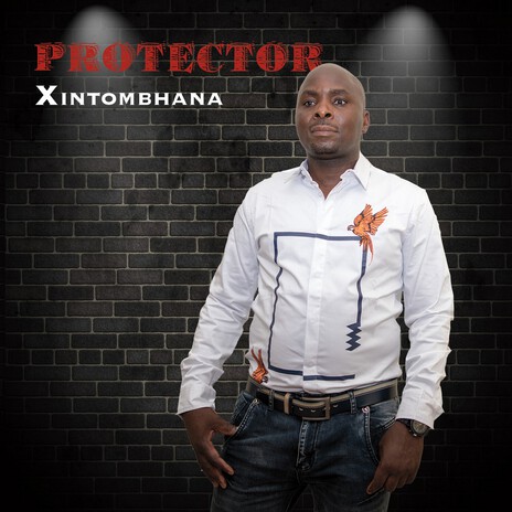 U Nga Rili cover art