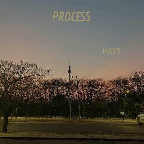 Process cover art