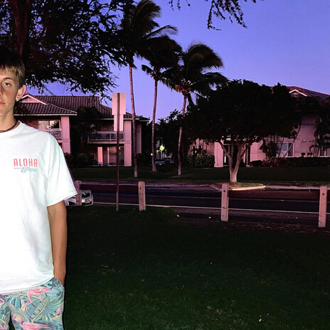 Hawaii cover art