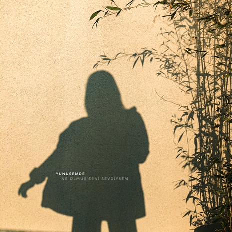 ne olmuş seni sevdiysem cover art