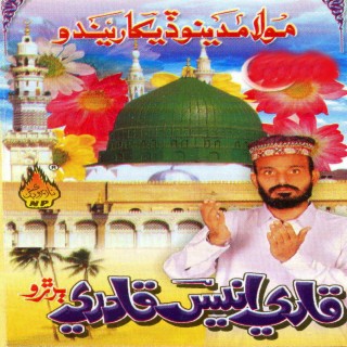 Anis Qadri
