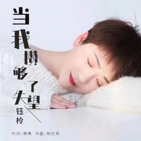 当我攒够了失望 cover art