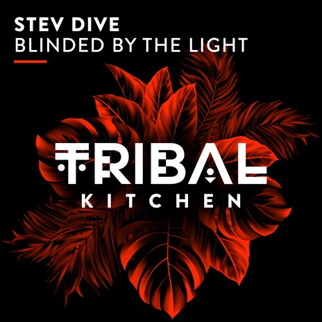 Blinded by the Light (Extended Mix) cover art