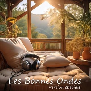 Les Bonnes Ondes (Version Spéciale) (Special Version)
