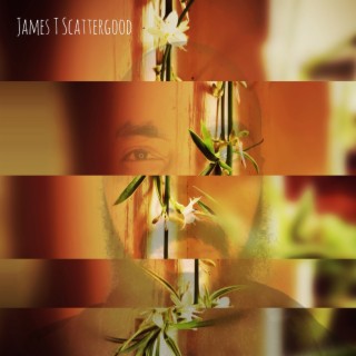 James T Scattergood