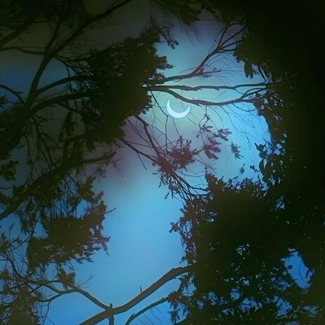 sippin all alone cover art