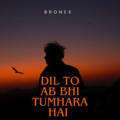 Dil to ab bhi tumhara hai cover art