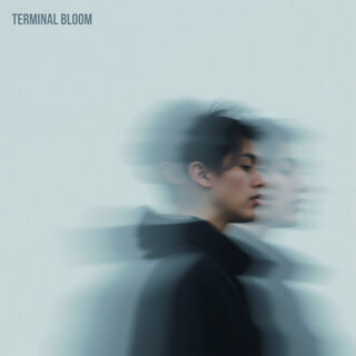 Terminal Bloom