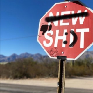 new shit cover art