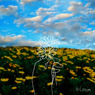bloom