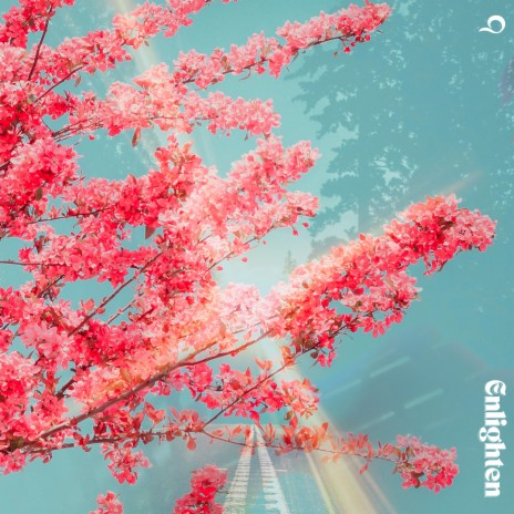 Enlighten cover art