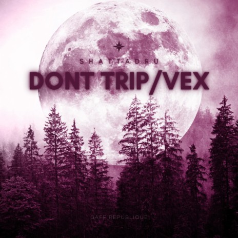 Dont Trip/Vex cover art