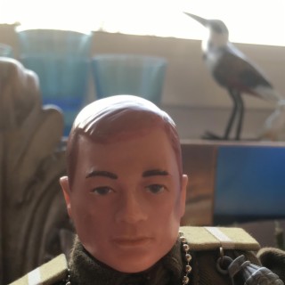 Aquitaine Man