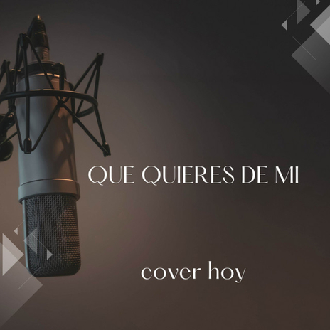 Que Quieres De Mi (Cover) cover art