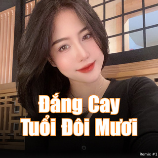 Đắng Cay Tuổi Đôi Mươi (Remix #1)