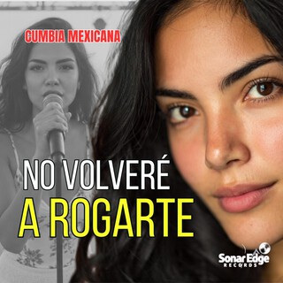 NO VOLVERÉ A ROGARTE cover art