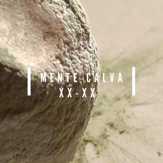 XX - XX