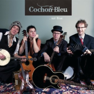 Cochon Bleu
