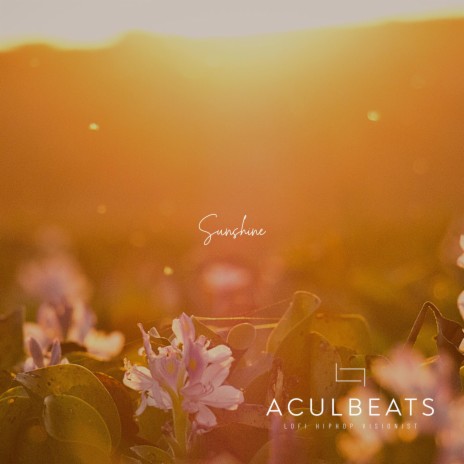 Sunshine cover art