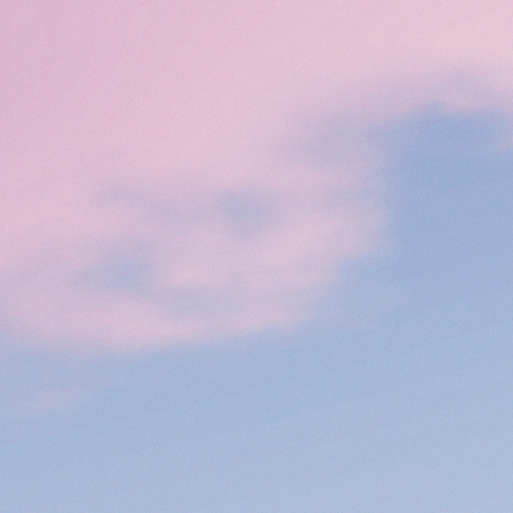 for we knew what it meant. cover art