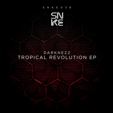 Tropical Revolution (Original Mix) cover art