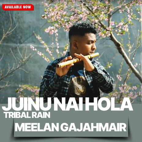Juinu Nai hola|| Rahul Rai|| Tribal Rain|| Flute Cover|| Meelan Gajahmair