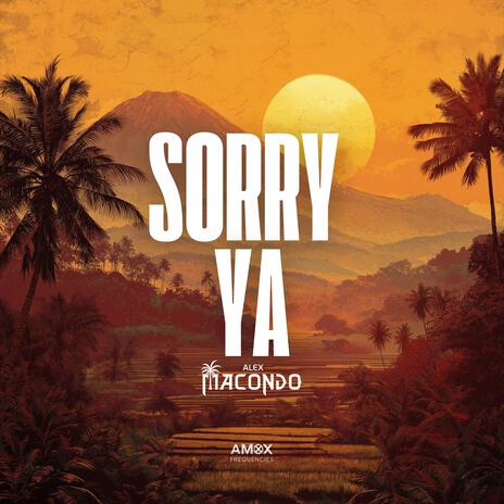 Sorry Ya cover art