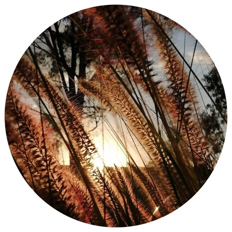 The Nature Hug cover art