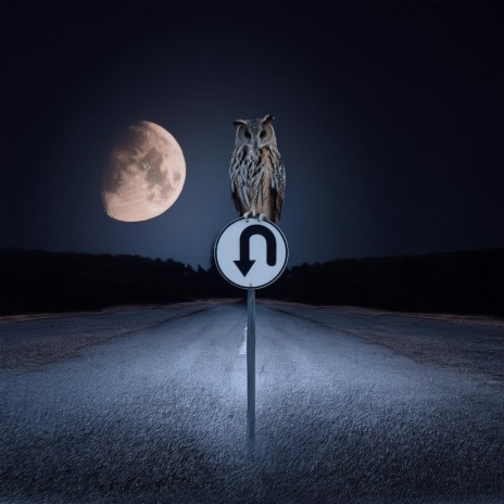 Nocturne & U-Turn cover art