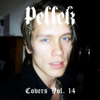 Covers Vol. 14